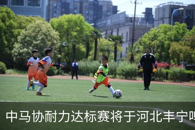 中马协耐力达标赛将于河北丰宁鸣枪 数十家专业马术俱乐部角逐