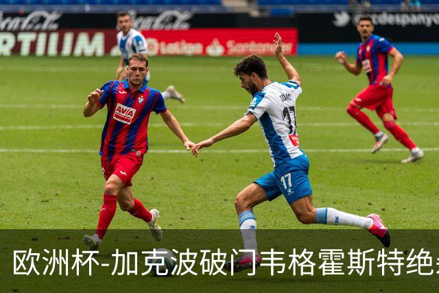 欧洲杯-加克波破门韦格霍斯特绝杀 荷兰2-1波兰