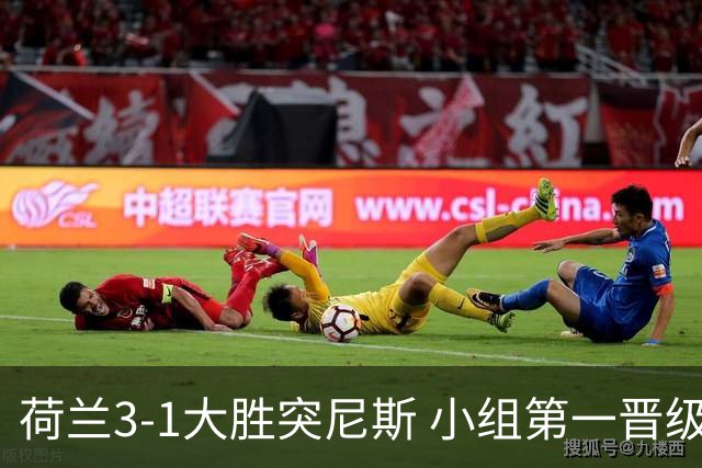 荷兰3-1大胜突尼斯 小组第一晋级淘汰赛将战摩洛哥